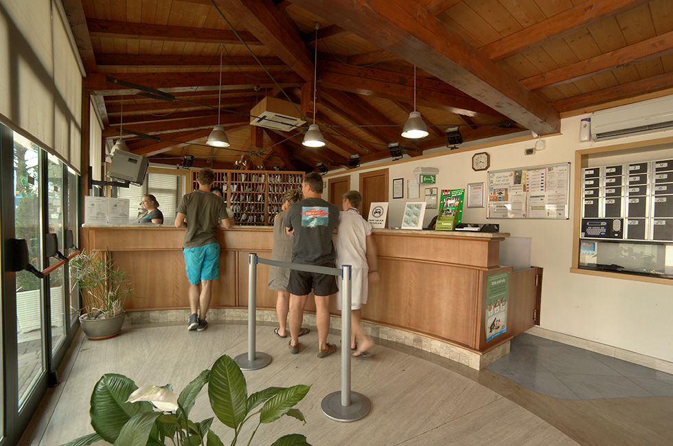 Flaminio Receptionen