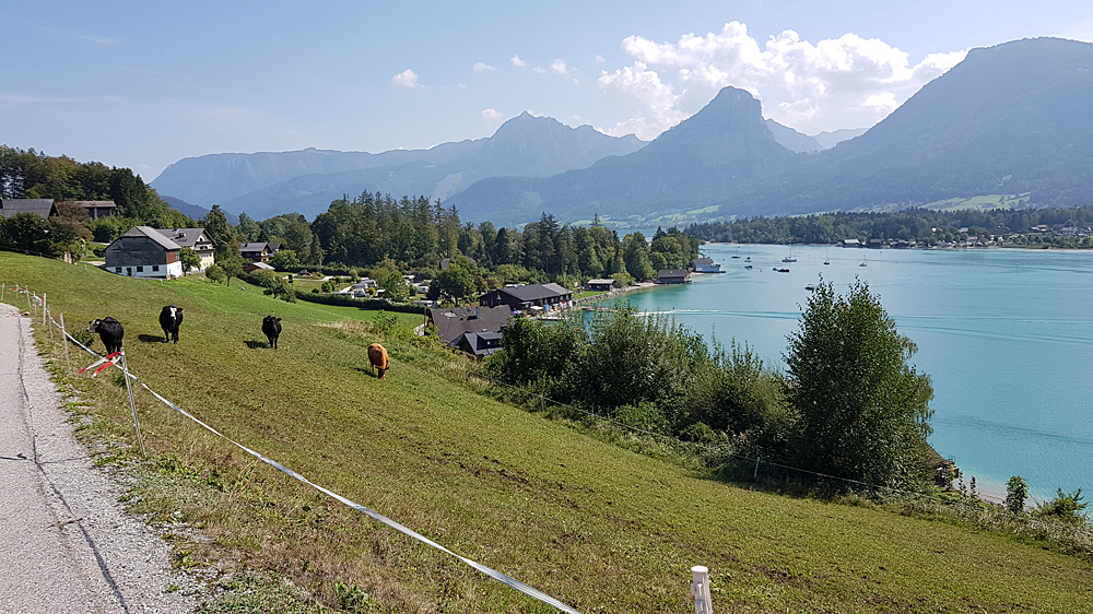 20180906 Panorama