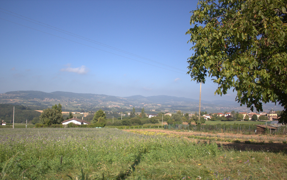 Balbigny 2