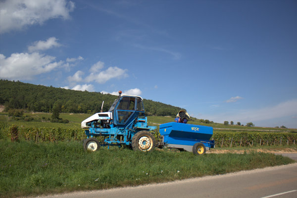 IMG 3743