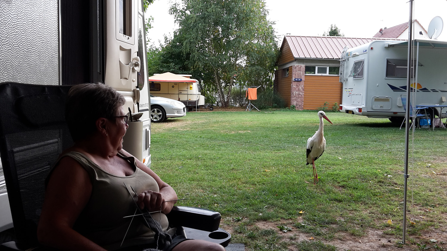 20160902 Ribeauville